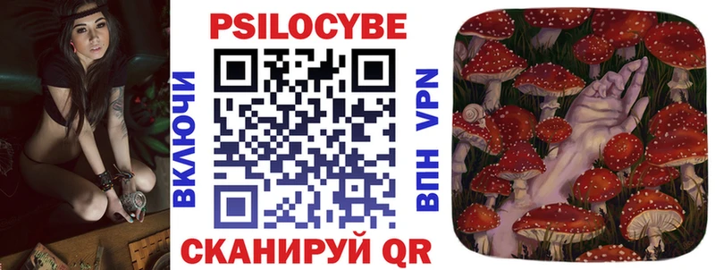 Псилоцибиновые грибы Cubensis  blacksprut   Спасск 
